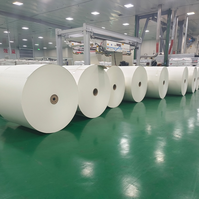 Role de hârtie CupStock acoperite cu PE